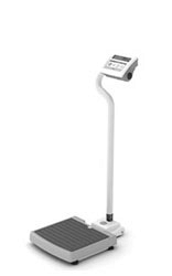 Rice Lake Digital Physician Scale -With Wheels
